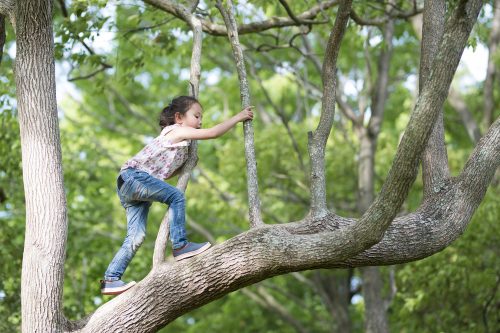 Happy,Little,Girl,Climbing,A,Tree